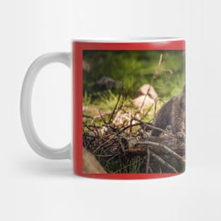 Wild life design Mug